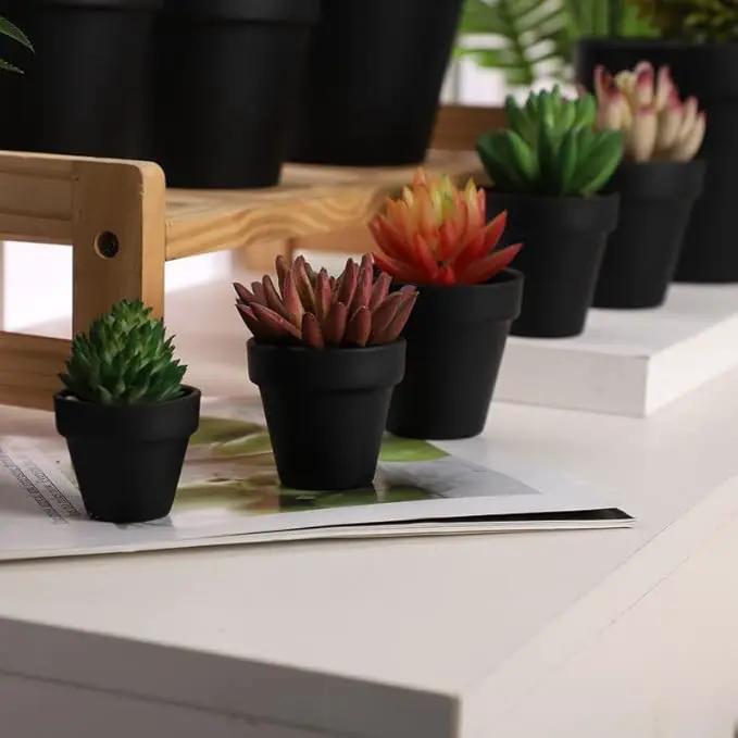 Yishang 72 pcs Small Mini Black Clay Pots, 2.5'' Terracotta Pot Clay Ceramic Pottery Planter,Cactus Flower Terra Cotta Pots,Succulents Nursery Pots,with Drainage Hole,Great for Crafts,Wedding Favor by GreenHaven Gardens