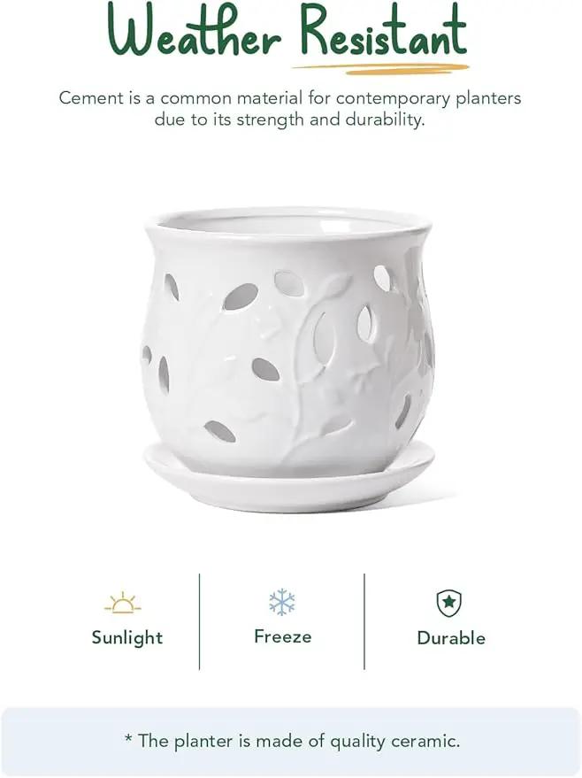 LE TAUCI Ceramic Orchid Pot, 6.5 Inch Orchid Pots with Holes, Orchid Planter for Repotting, Indoor Flower Plant Pot with Drainage and Saucer, White by GreenHaven Gardens