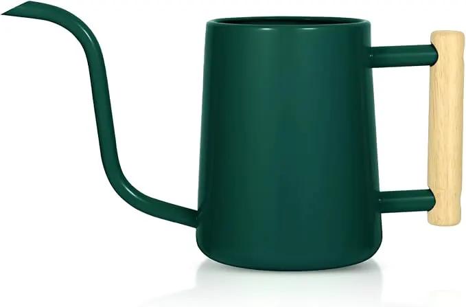 Watering Can Indoor Plants, 35 oz/1000 ml Metal Stainless Steel Watering Can Pot with Long Spout for Indoor House Plants Bonsai Outdoor Garden Flower Decorative (Alpinegreen) by GreenHaven Gardens