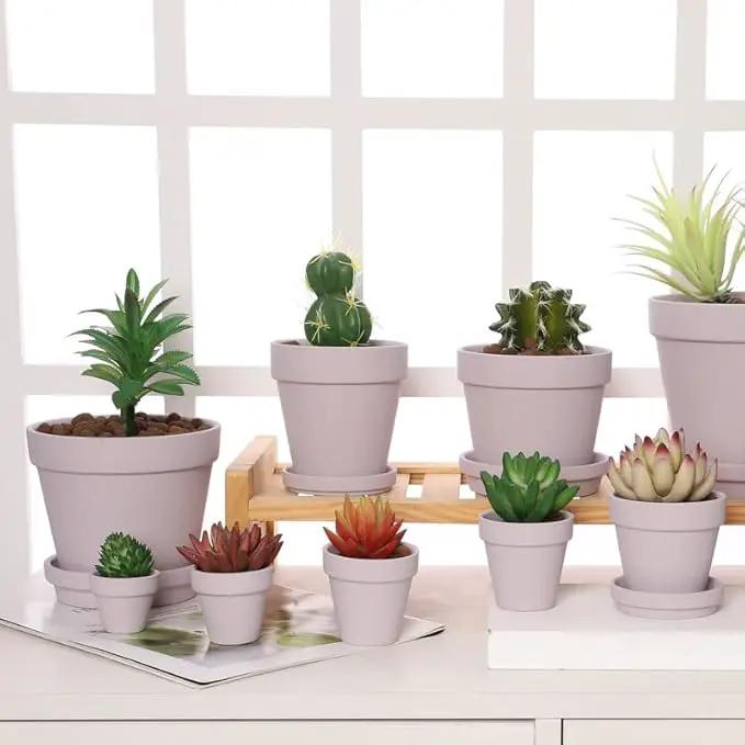 Yishang 72 pcs Small Mini Pink Clay Pots, 2.5'' Terracotta Pot Clay Ceramic Pottery Planter,Cactus Flower Terra Cotta Pots,Succulents Nursery Pots,with Drainage Hole,Great for Crafts,Wedding Favor by GreenHaven Gardens