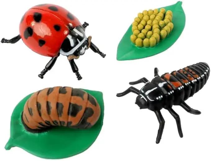 Insect Lore Bug Camp Bundle | Butterfly Kit with 1 Cup Live Caterpillars | Ladybug Land with 1 Tube Live Larvae | Ant Mountain with 1 Tube Live Western Harvester Ants | Life Cycle Figurines & More by GreenHaven Gardens