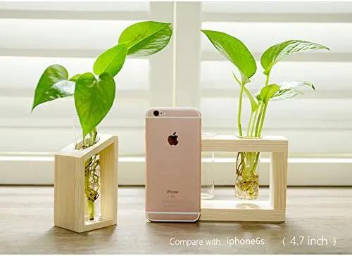 Ivolador Plant Propagation Station, Plant Propagation Tubes,Gifts for Plant Lovers,Plants Cutting Holder Office Desk Garden Décor Gifts for Mom Women Hydroponic Vase Gift Box by GreenHaven Gardens