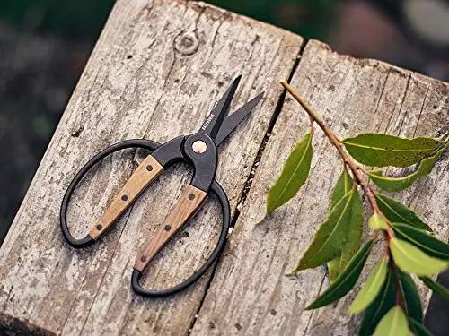 Barebones Garden Scissors - Walnut Scissors - Garden Supplies and Indoor Plant Accessories - Plant Shears with Wide Handles - Comfortable Fit Trimming Shears (Small) by GreenHaven Gardens