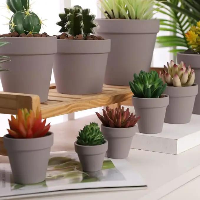 Yishang 36 pcs Small Mini Grey Clay Pots, 2.5'' Terracotta Pot Clay Ceramic Pottery Planter,Cactus Flower Terra Cotta Pots,Succulents Nursery Pots,with Drainage Hole,Great for Crafts,Wedding Favor by GreenHaven Gardens