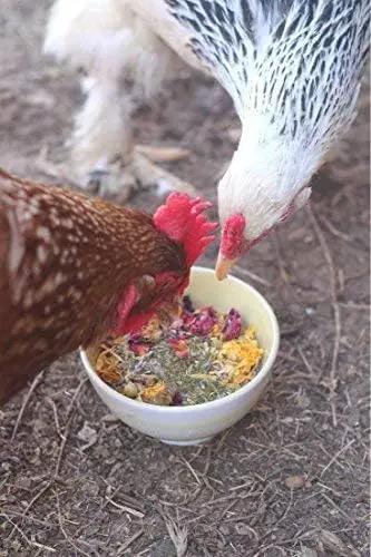 Pampered Chicken Mama Best Eggs Ever! Nesting Herbs for Chickens (4 Pounds) Calcium Supplement for Chickens | Chicken Feed Supplies, Hen Treats for Coops by GreenHaven Gardens