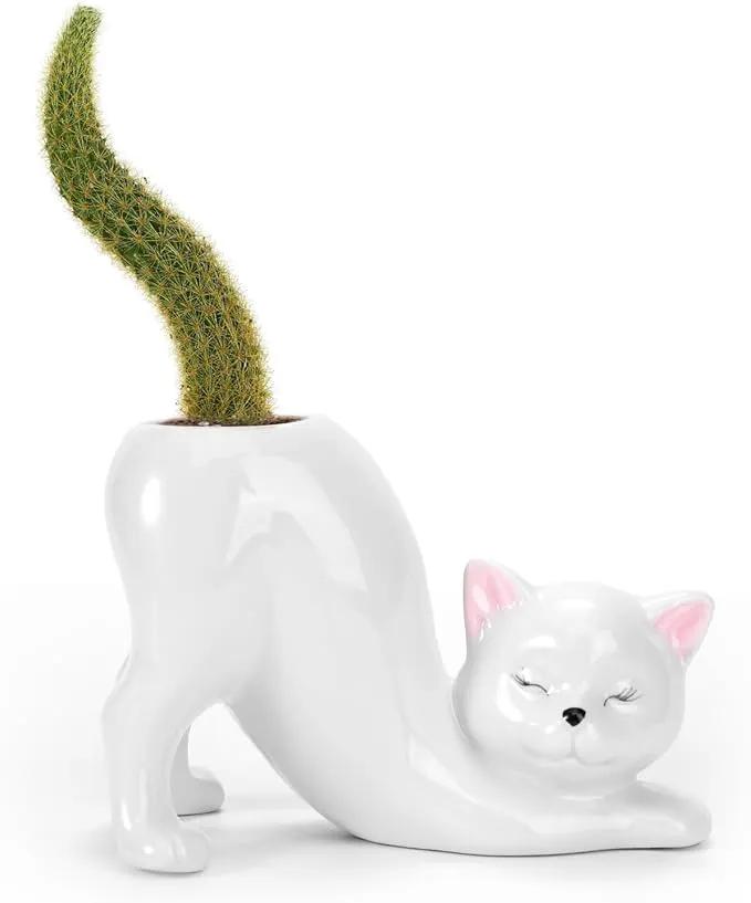 TOIVO Unique Cat Planter Pot，Indoor and Outdoor Plant Displays，Funny Ceramics Cat Flower Pot，Cat Gifts for Cat Lovers，Lovely Office Desk Room Home Decor (White, Small) by GreenHaven Gardens