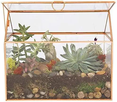 D'Eco Glass House Plant Terrarium (10"x6"x8") - Indoor Tabletop Gold Geometric Planter Terrarium for Succulents, Air Plants, Moss - Home, Garden, Wedding & Office Decor - Gift for Plant Lovers by GreenHaven Gardens