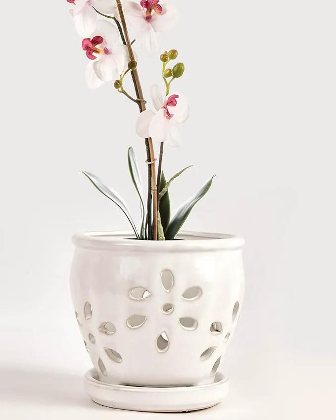 vensovo 5 Inch Ceramic Orchid Pots with Holes and Saucers - 1 Pcs Small Succulent Pot for Repotting, Garden Flowerpots for Plants Indoor and Outdoor Promotes Air Circulation, White by GreenHaven Gardens