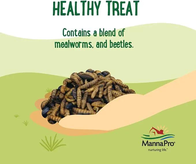 Manna Pro Farmhouse Favorites Beetle Bliss Poultry Treat – Blend of Mealworms and Beetles – All Natural Treat for Chickens, Ducks, Geese, Turkeys, & Guinea Fowl – 45% Protein – 2lb Bag by GreenHaven Gardens