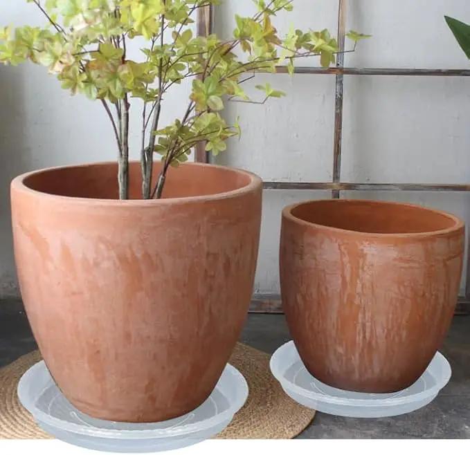 Plant Saucer 6 Pack of 8 inch, Clear Plastic Flower Plant Pot Saucer, Heavy Duty Plant Drip Trays Saucers for Indoor, Plant Water Tray for Planters by GreenHaven Gardens