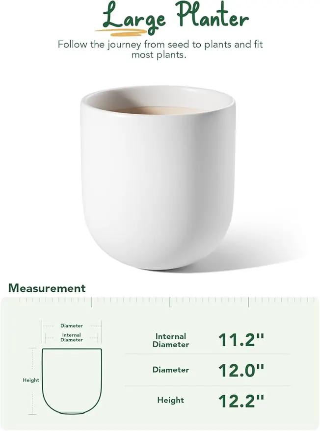 LE TAUCI 12 Inch Pots for Plants, Ceramic Large Planters for Indoor Plants, Indoor Plant Pots for Home Garden Patio Office, Planter Pots with Drainage Hole and Rubber Plug, White by GreenHaven Gardens