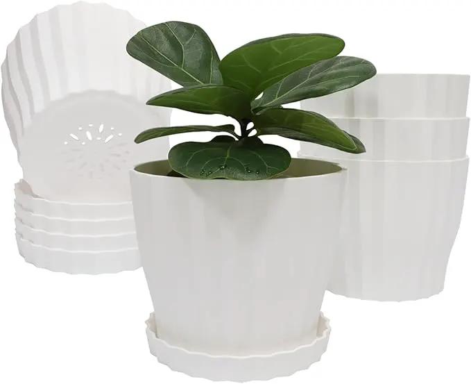 Flower Pots Outdoor Clearance 6 inch Set of 5 Succulent Planters for Indoor Plants Garden Home Holiday, Plastic Nursery Pots for Plants with Drainage Holes and Saucer, Modern Plant Pot White by GreenHaven Gardens