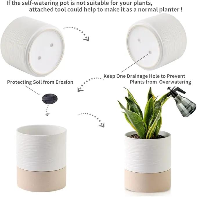 Nihow Self Watering Plant Pot: 6 Inch Ceramic Planter with Drainage Hole & Water Storage Plus for Indoor & Outdoor Plants - Cylinder Round Flower Pot for Succulent/Herbs/Violets - White & Brown by GreenHaven Gardens