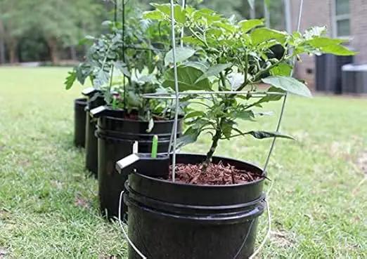Garden Kit (3PK) self-watering sub-irrigated Planter Insert. Turn Any Bucket into a self-watering Container Garden. Create an Indoor or Outdoor, Space Saving and Portable Garden in Minutes. by GreenHaven Gardens
