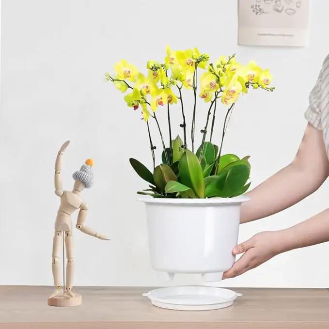 8 Inch Orchid Pots with Holes and Saucers,Double Layer Plastic Large Orchid Planter Pot,Flower Pots for Indoor Outdoor Flower Plants,Orchids,Herbs,Snake Plants and Succulents by GreenHaven Gardens