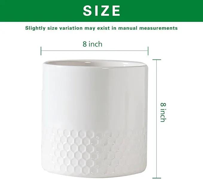 Docrin Ceramic Planters Indoor, 8 Inch Plant Pots with Drainage Holes for Home/Office - White Honeycomb by GreenHaven Gardens