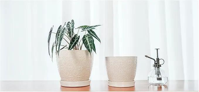 Docrin Ceramic Plant Pots Indoor, 6.6 + 5.5 Inch Planters with Drainage Holes and Saucer for Home/Office - Set of 2 /White by GreenHaven Gardens