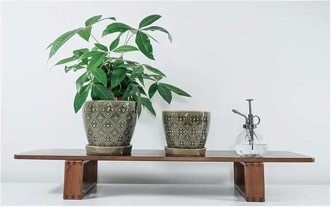 Docrin Ceramic Plant Pots Indoor, 6.6 + 5.5 Inch Planters with Drainage Holes and Saucer for Home/Office - Set of 2 /Dark Green by GreenHaven Gardens