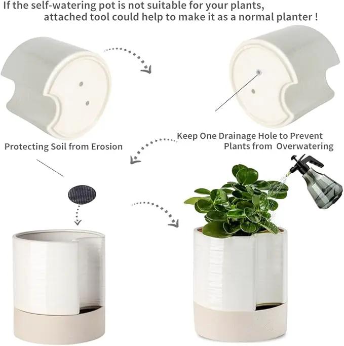 Nihow Self Watering Plant Pot: 8 Inch Ceramic Planter with Drainage Hole & Water Storage Plus for Indoor & Outdoor Plants - Cylinder Round Flower Pot for Succulent/Herbs/Violets - Cream White & Brown by GreenHaven Gardens