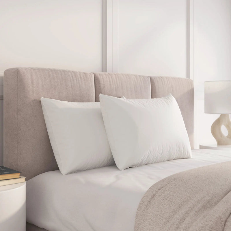 Dream Big Twin Pack Bed Pillows by HouseOfZazla