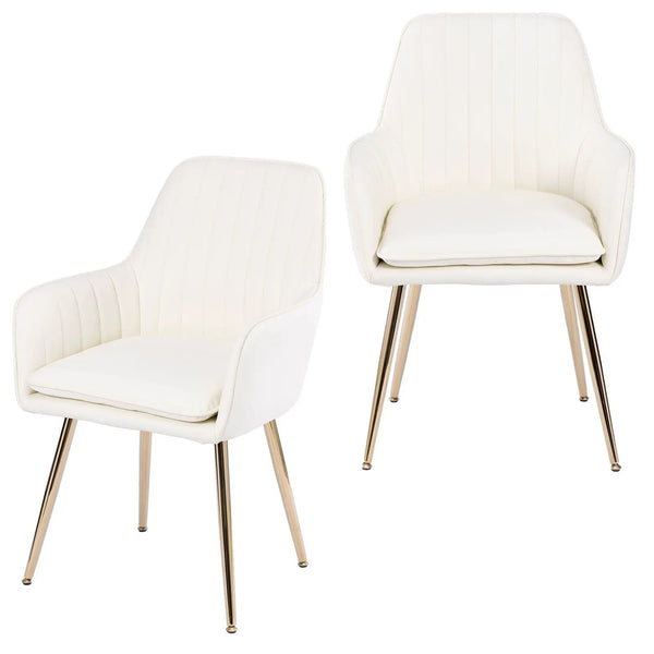Modern Mid Back Dining Chairs