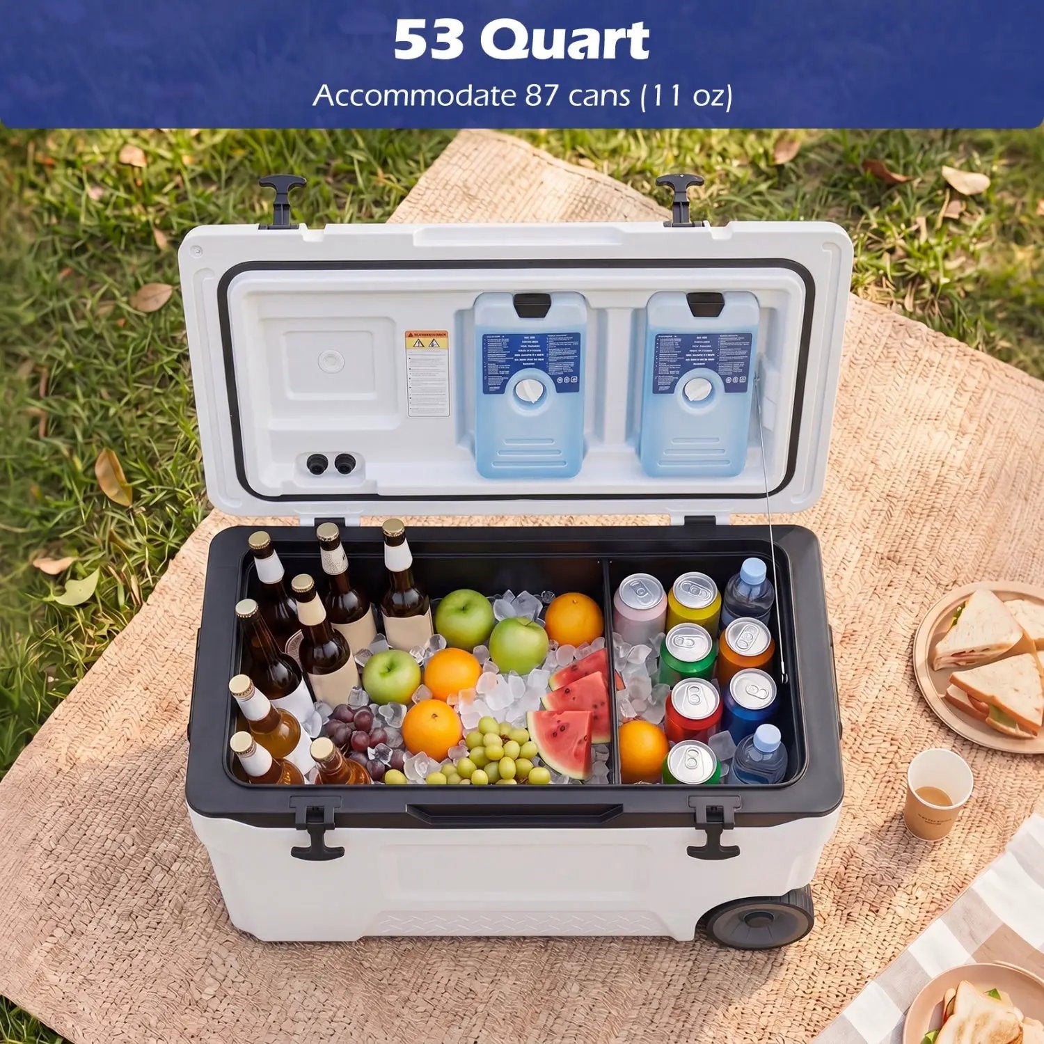 53 Quart Rolling Cooler with Wheels and Fish Ruler by DirectDeals