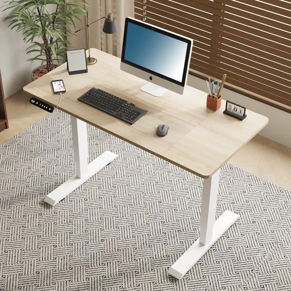 55"×24" Light Electric Standing Desk by HouseOfZazla