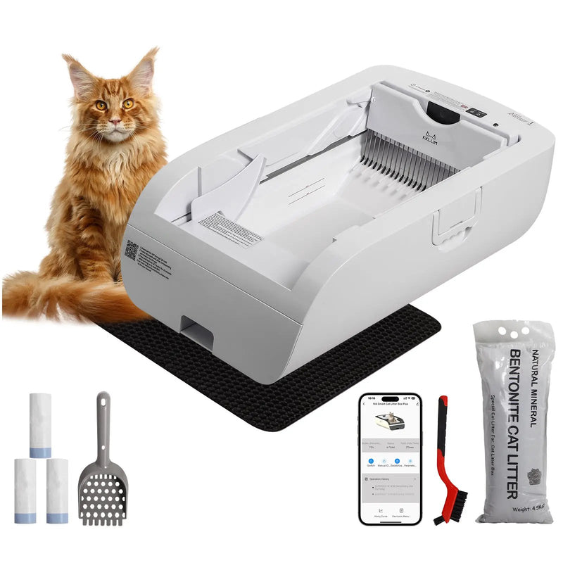 Smart Cat Litter Box with Wide Opening by HouseOfZazla