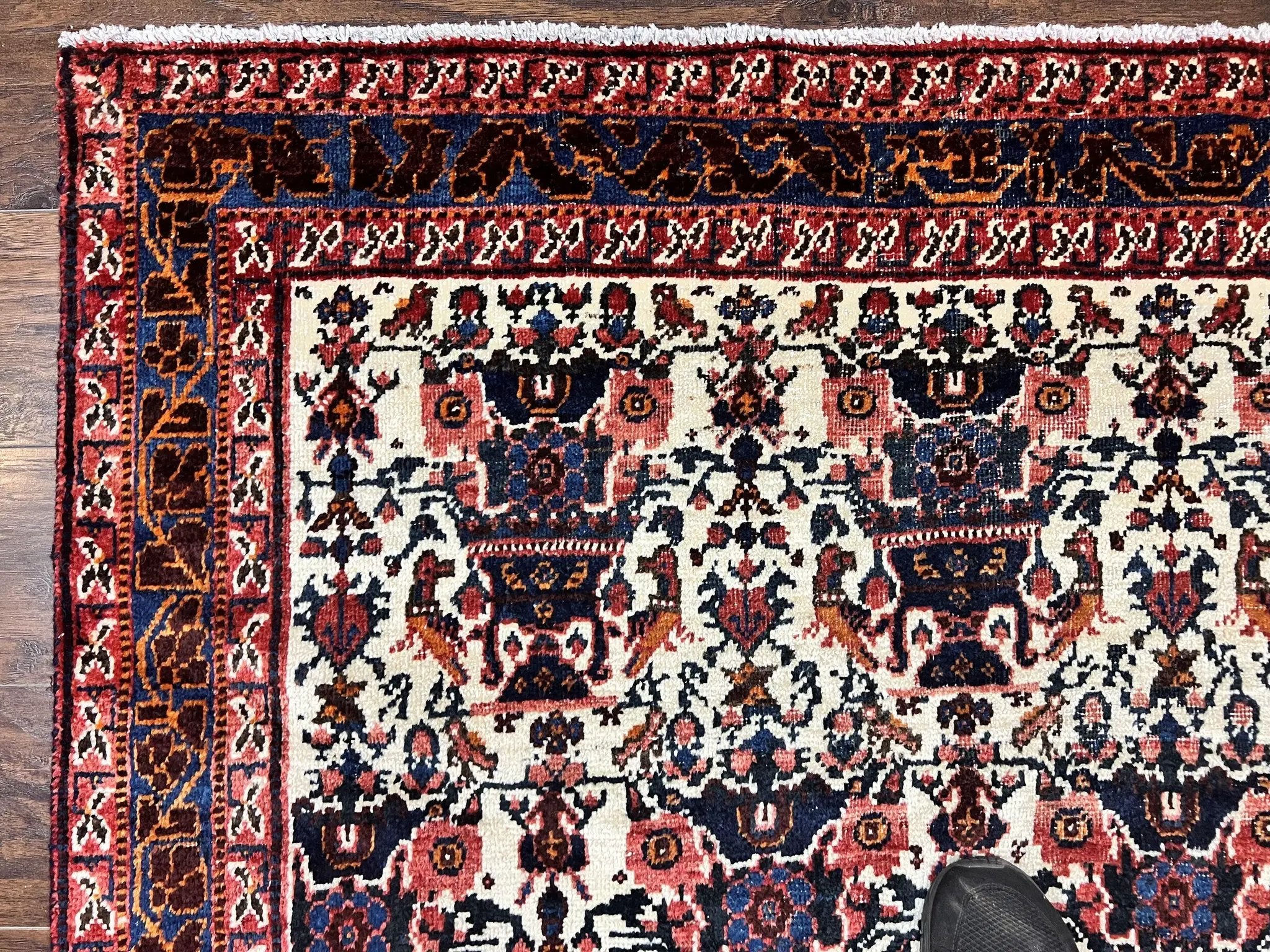 Persian Afshar Rug 6x8, Wool Hand Knotted Semi Antique Vintage Carpet, Floral Allover, Repeated Birds Flowers Vases Motifs by Jewel Rugs