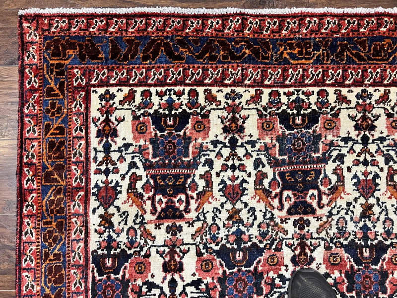 Persian Afshar Rug 6x8, Wool Hand Knotted Semi Antique Vintage Carpet, Floral Allover, Repeated Birds Flowers Vases Motifs by Jewel Rugs