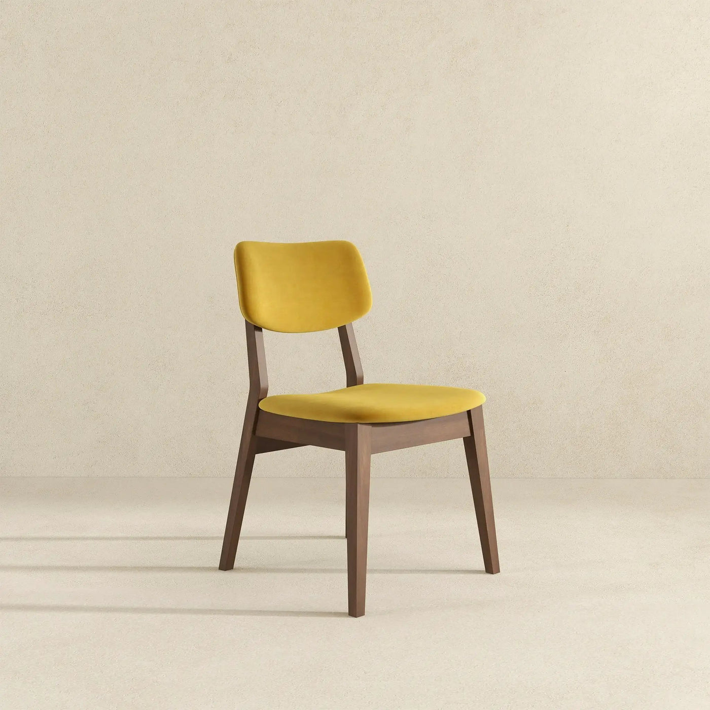Carlos - Solid Back Side Chair (Set of 2) by HouseOfZazla
