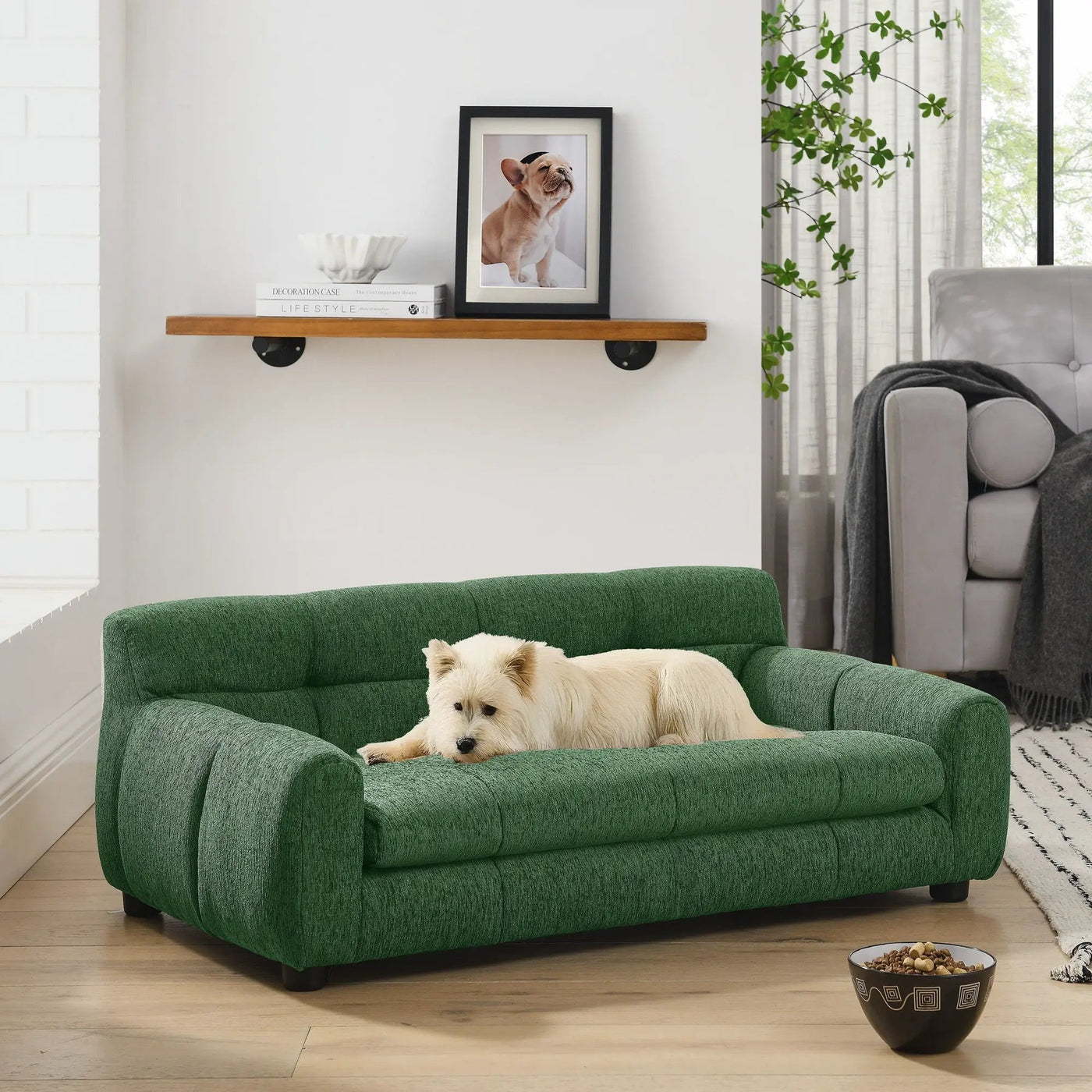 Modern Pet Sofa With Backrest And Armrests by HouseOfZazla