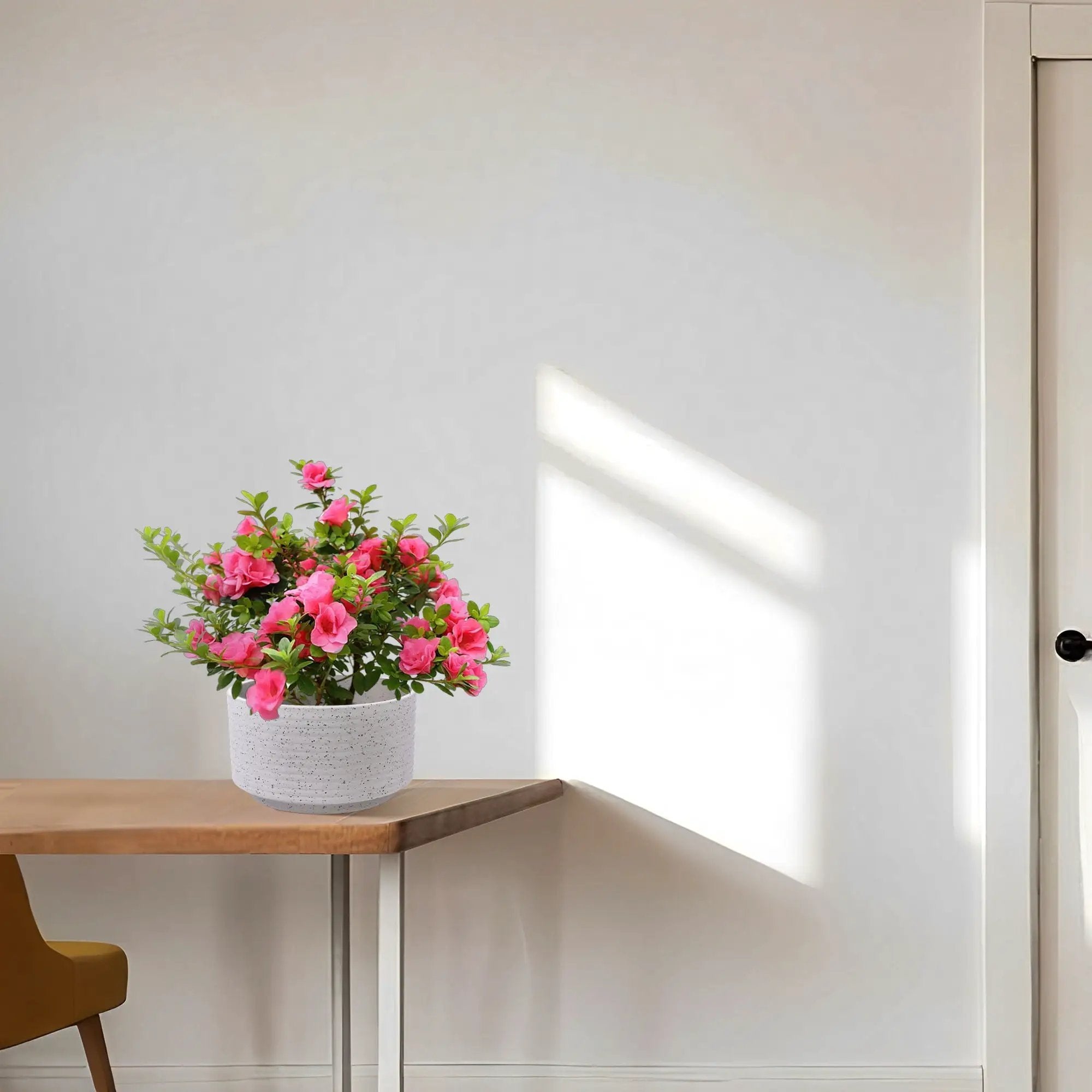 2 Pieces Flowerpot, Planter For Patio, Garden Or Windowsills - Milk White by Unique Piece Furniture