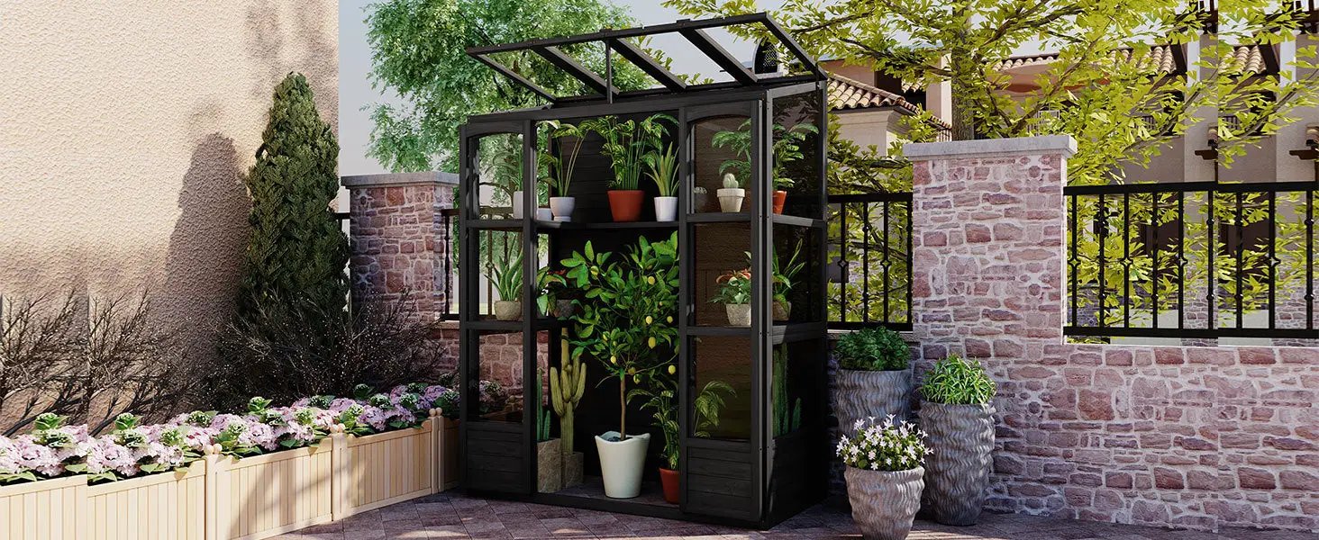 TOPMAX 78-inch Wooden Greenhouse Cold Frame with 4 Independent Skylights and 2 Folding Middle Shelves by HouseOfZazla