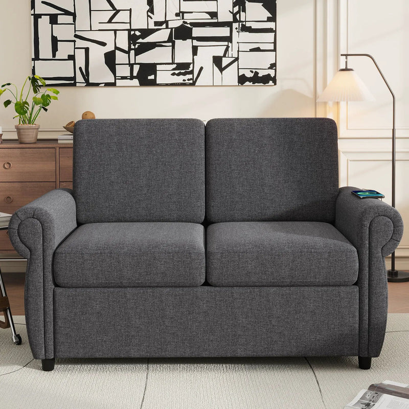 Pull Out Sofa Bed Loveseat Sleeper With Twin Size Memory Mattress With Two USB Ports For Living Room Spaces by HouseOfZazla