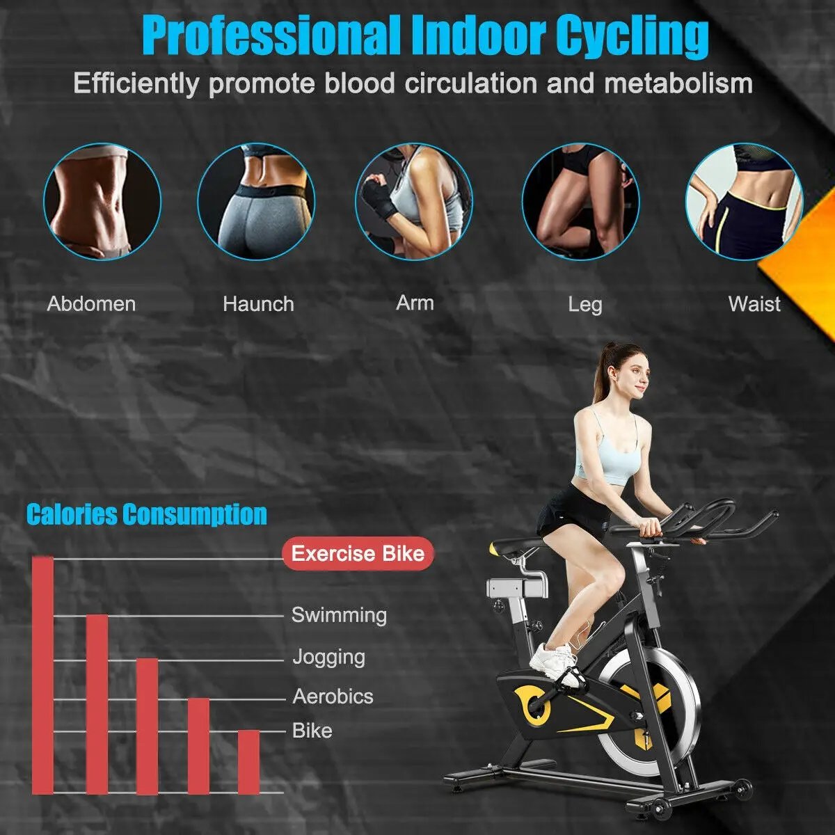 Magnetic Exercise Bike Fixed Belt Drive Indoor Bicycle by DirectDeals