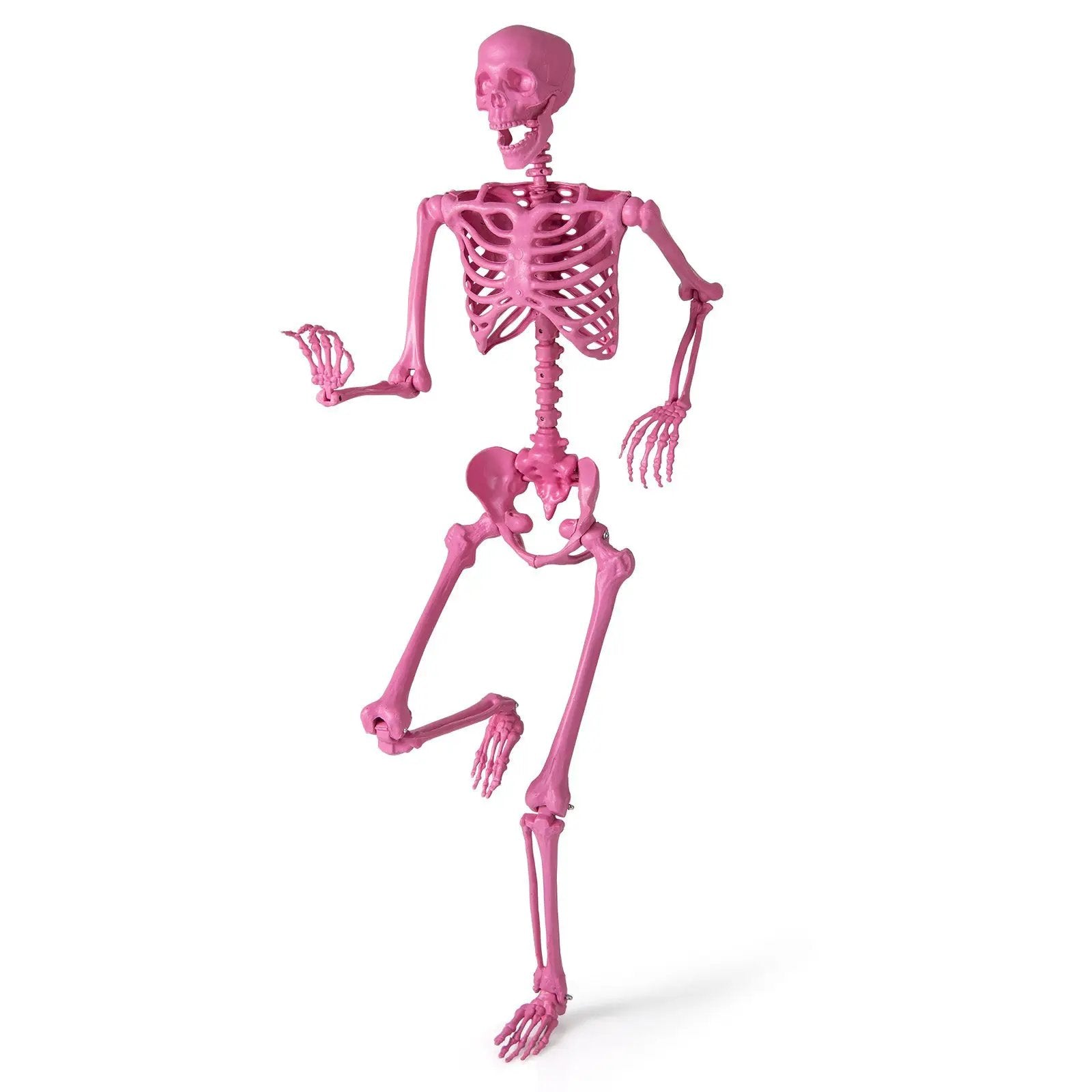 5.5 FT Life-Size Halloween Poseable Skeleton Pink Movable Joints by DirectDeals
