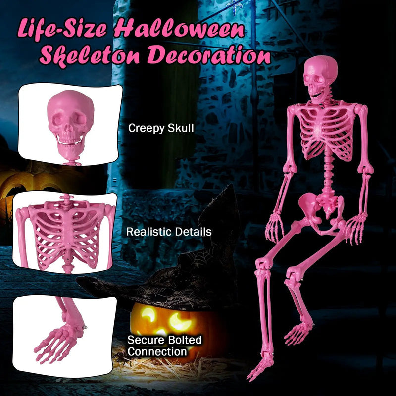 5.5 FT Life-Size Halloween Poseable Skeleton Pink Movable Joints by DirectDeals