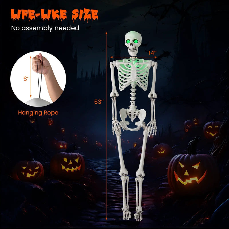 5.5 FT Halloween Skeleton Life-Size Posable for Indoor Outdoor Decoration by DirectDeals
