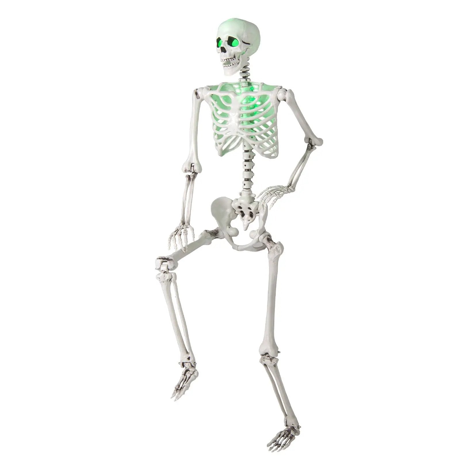 5.5 FT Halloween Skeleton Life-Size Posable for Indoor Outdoor Decoration by DirectDeals