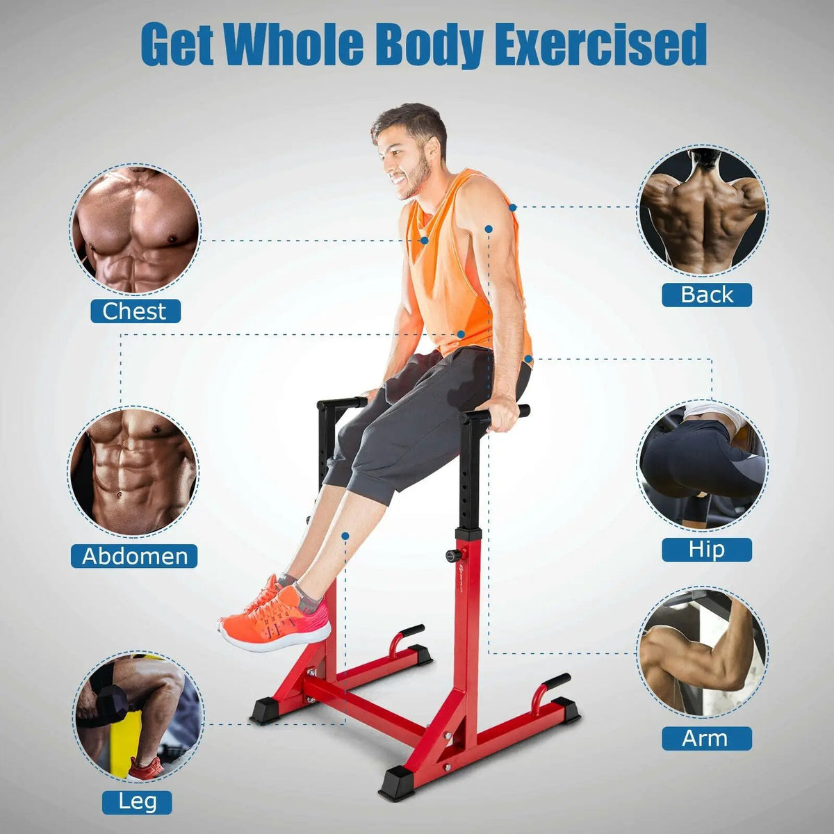 Adjustable Dip Bar with 10 Height Levels, photo 11 of 16