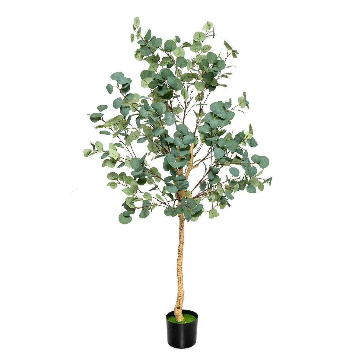 5.5 Feet Artificial Eucalyptus Tree with 517 Silver Dollar Leaves, photo 3 of 9