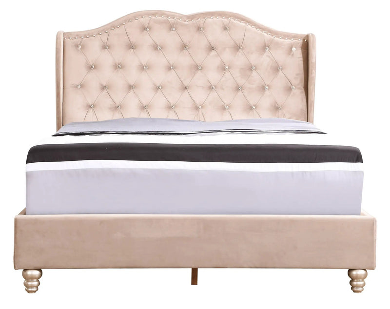 Upholstered Bed Transitional by HouseOfZazla