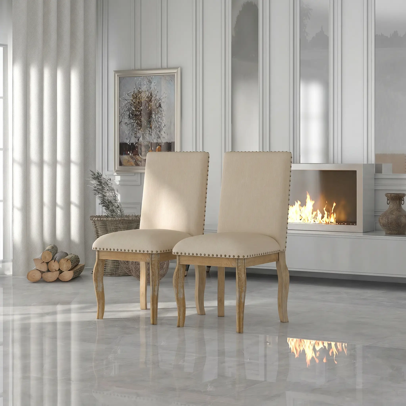 TREXM Set of 2 Dining Chairs by HouseOfZazla
