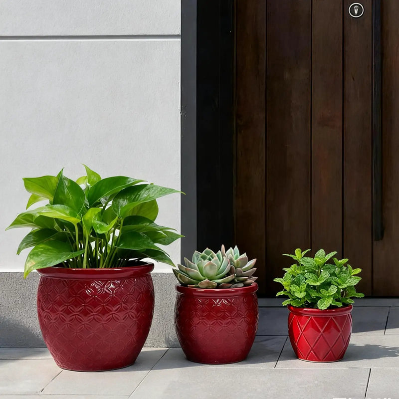 Handmade Ceramic Flower Pot Set of 3 by HouseOfZazla