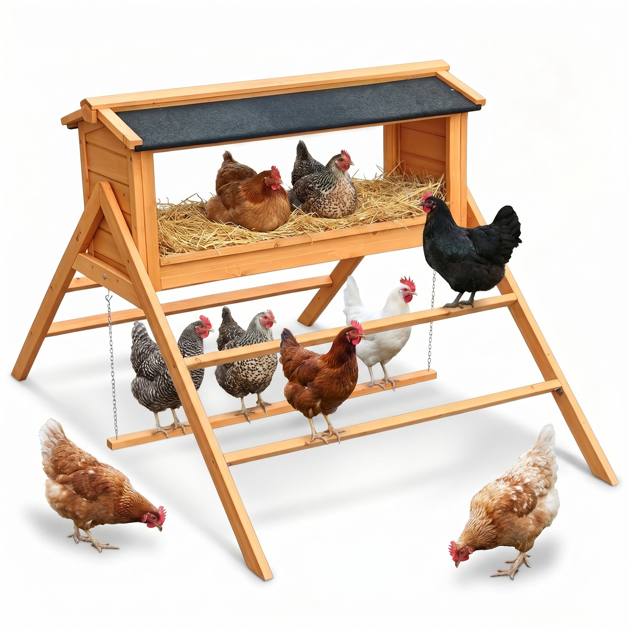 Chicken Nesting Box with Asphalt Roofing and Chicken Perch by HouseOfZazla