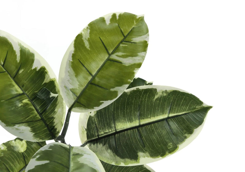 52" Tall, Artificial Plant, Rubber Tree, Indoor, Fake, Floor, Greenery, Potted, Real Touch, Decorative - Green / Black by Unique Piece Furniture