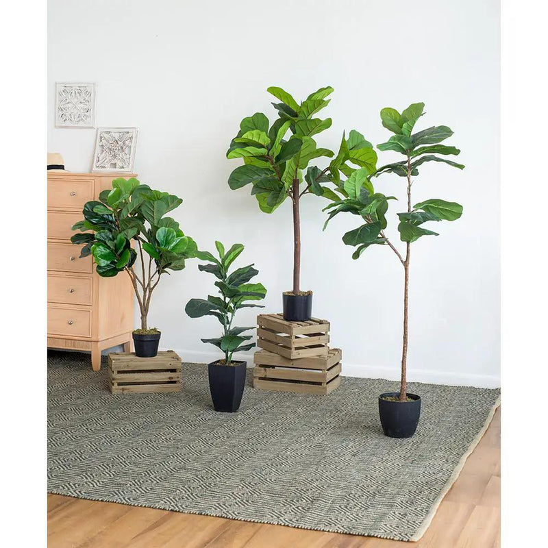 25x25x52"H Fiddle Fig Leaf Tree with 40 Leaves by HouseOfZazla