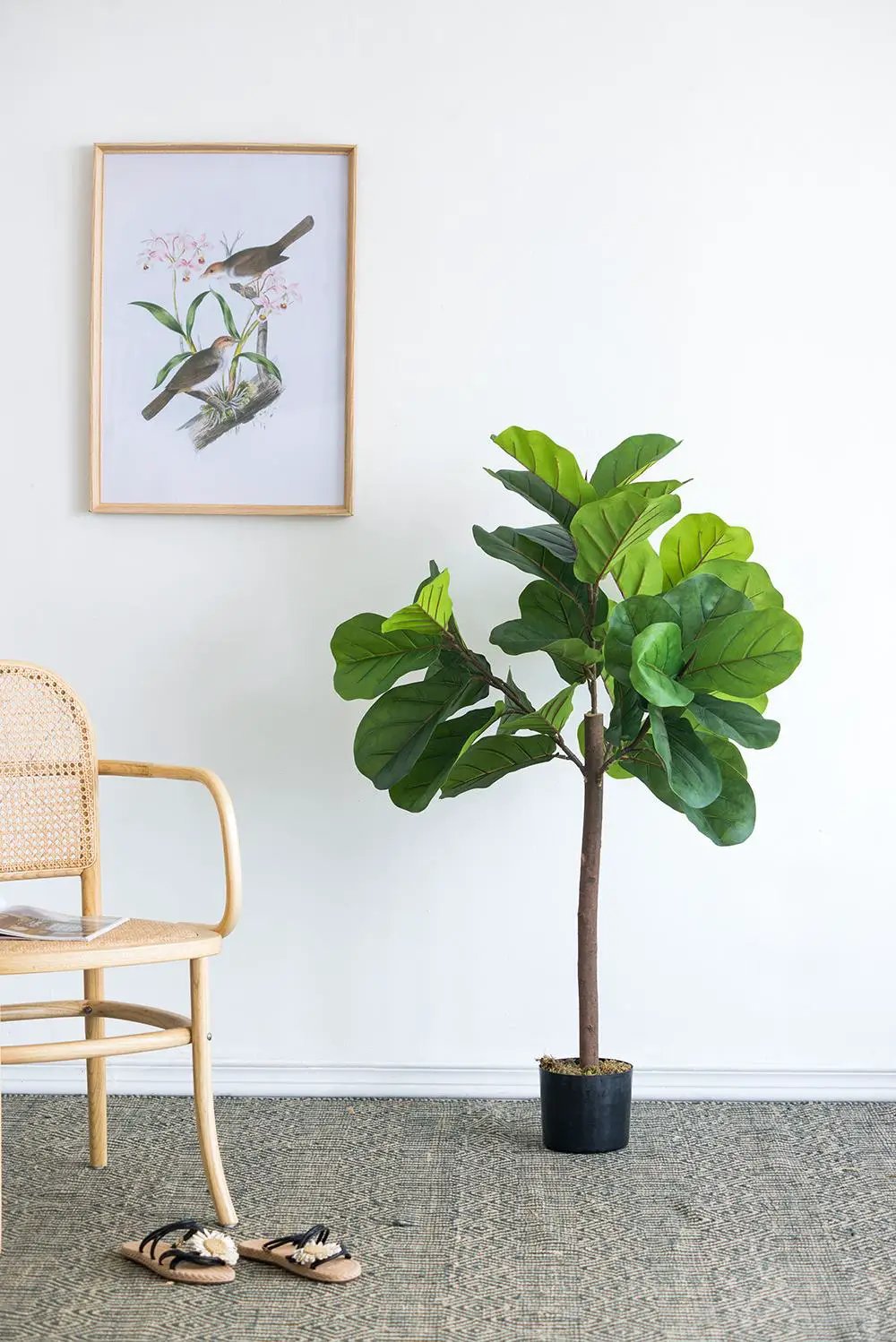 25x25x52"H Fiddle Fig Leaf Tree with 40 Leaves by HouseOfZazla
