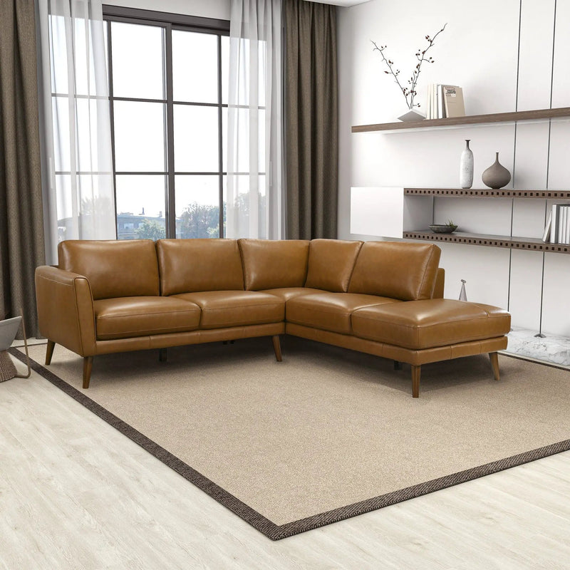Benson - Sectional Sofa With Chaise by HouseOfZazla